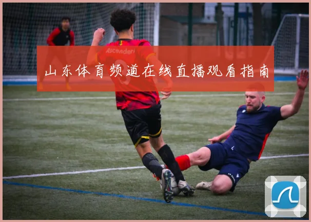 山东体育频道在线直播观看指南