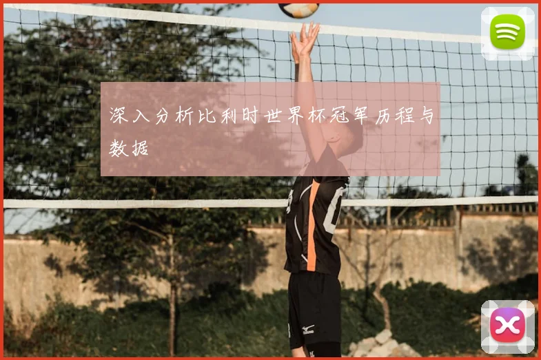 深入分析比利时世界杯冠军历程与数据