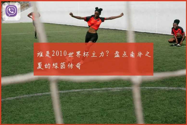 谁是2010世界杯主力?盘点南非之夏的绿茵传奇