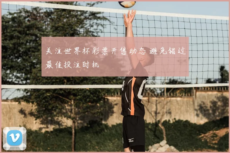 关注世界杯彩票开售动态 避免错过最佳投注时机