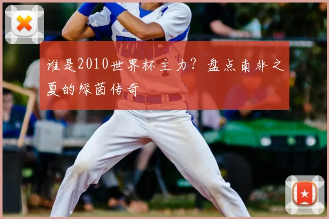 谁是2010世界杯主力?盘点南非之夏的绿茵传奇