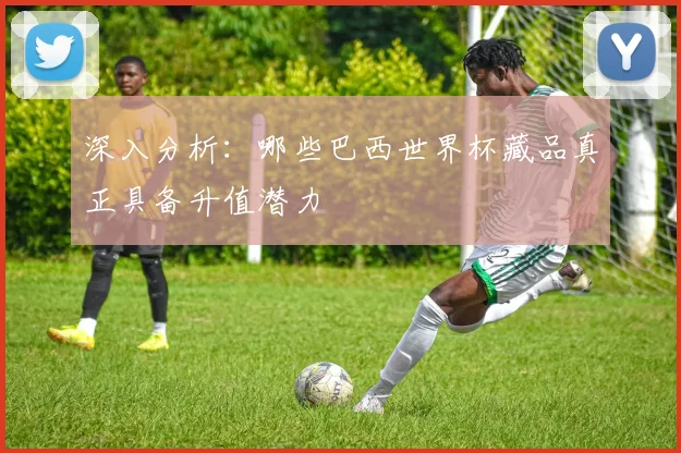深入分析:哪些巴西世界杯藏品真正具备升值潜力