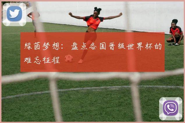 绿茵梦想:盘点各国晋级世界杯的难忘征程
