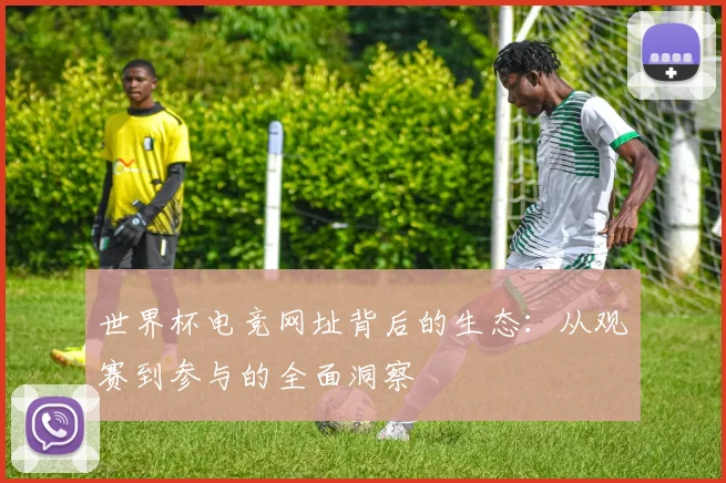 世界杯电竞网址背后的生态:从观赛到参与的全面洞察