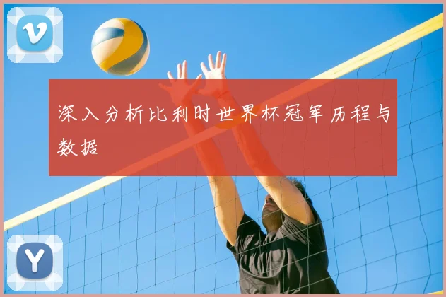深入分析比利时世界杯冠军历程与数据