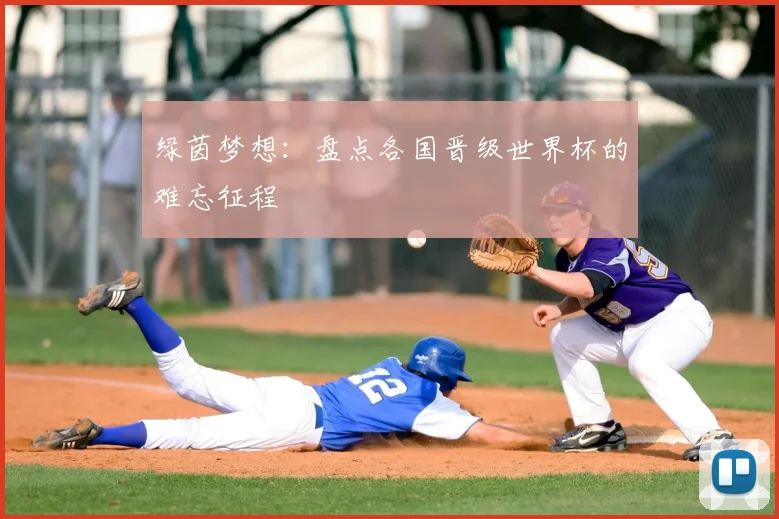 绿茵梦想：盘点各国晋级世界杯的难忘征程