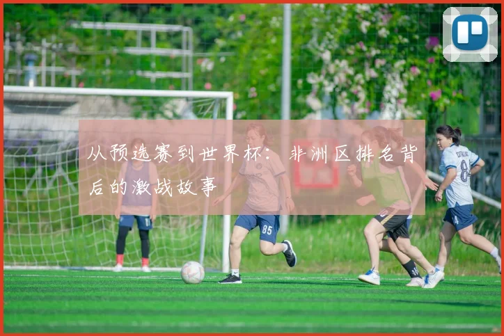 从预选赛到世界杯：非洲区排名背后的激战故事
