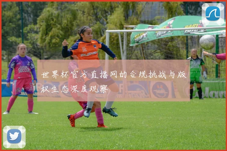 世界杯官方直播网的合规挑战与版权生态深度观察