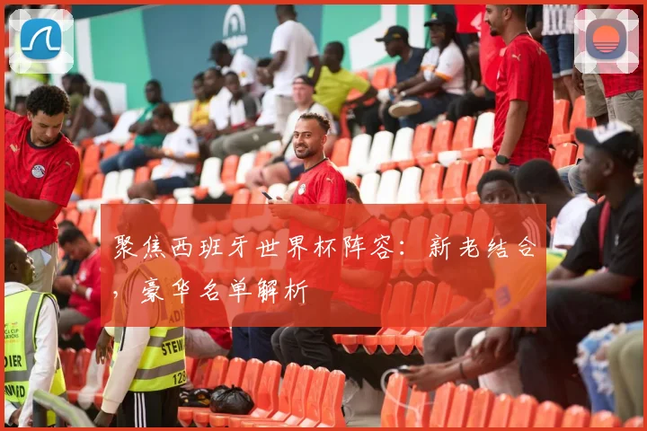 聚焦西班牙世界杯阵容：新老结合，豪华名单解析